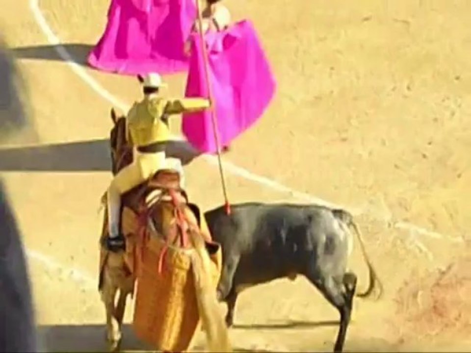 les piques des Miura de Beziers 2013