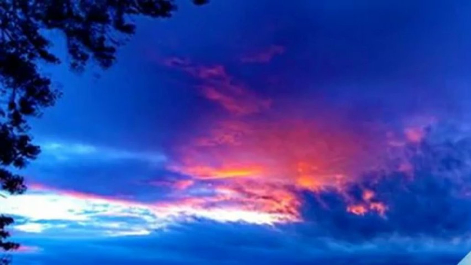 BLUE MUSIC... ... (harp music)... ...