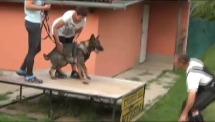 Ioké v.d. Hagenmuhle working with Vit & Jana Glisnik and Marek Urban 2013