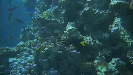 The Arrogance of not knowing there is a God