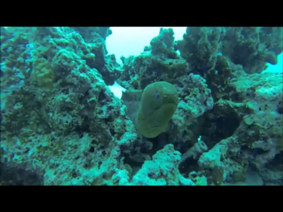 Trou du lagon presqu'île Tahiti