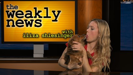 Baby Touchers, Antichrist, Pubs, and Weird Names