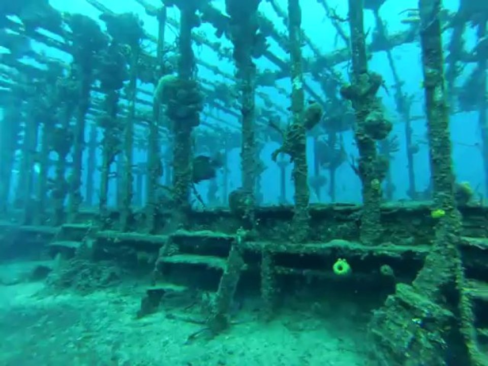 GOPR0094