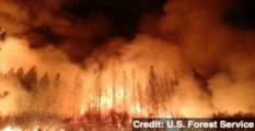 Wildfire Scorches Yosemite, Threatens San Francisco Power