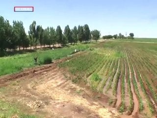 "AĞALIK TASFİYE EDİLMELİ"