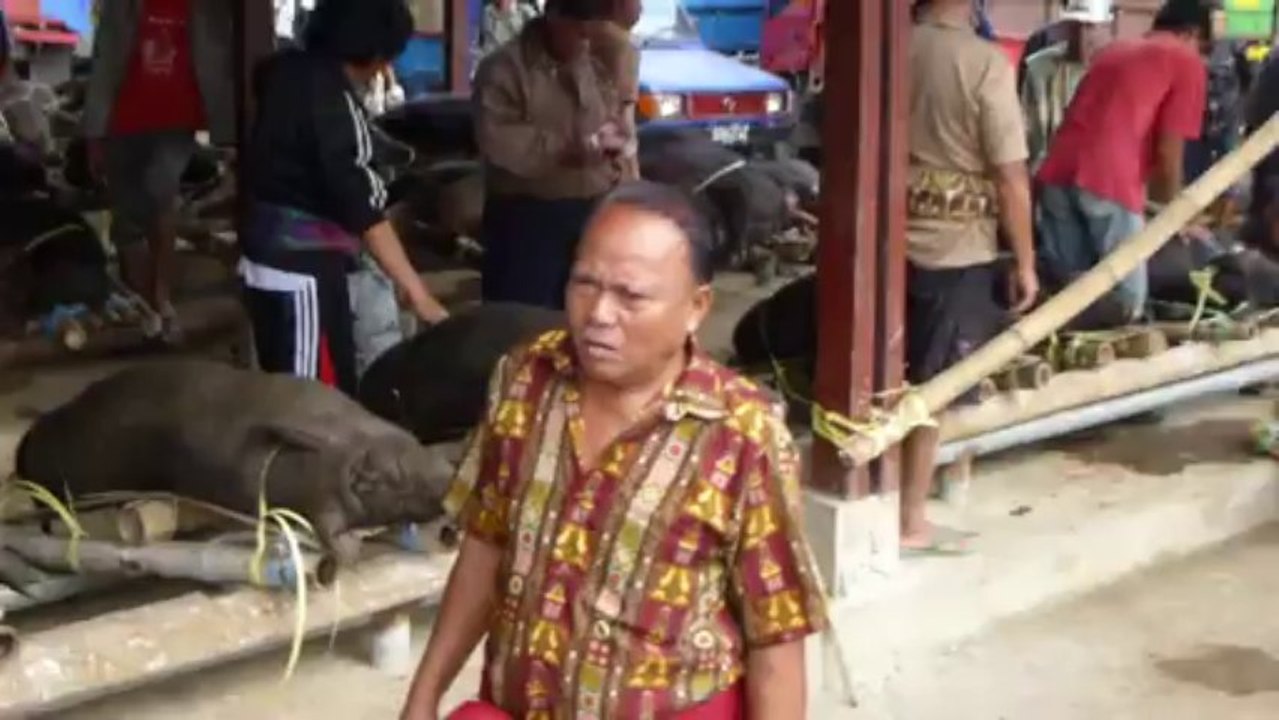 Rantepao - maché aux cochons