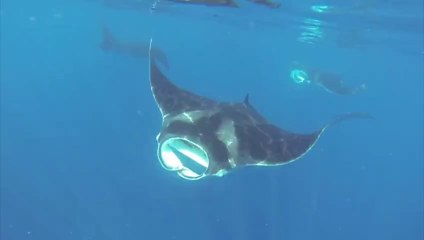 PLAYA DEL CARMEN 2013