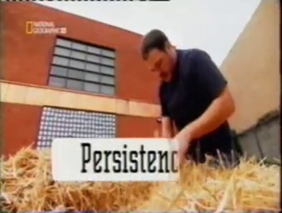 Persistencia: El secreto del exito
