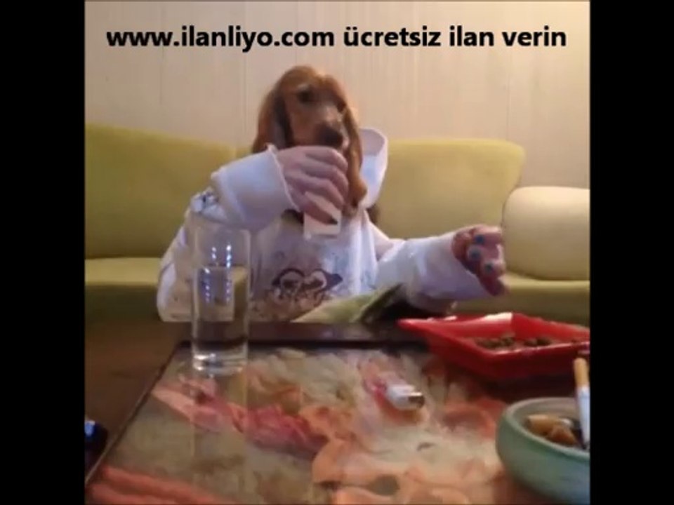 İsyanlardayım