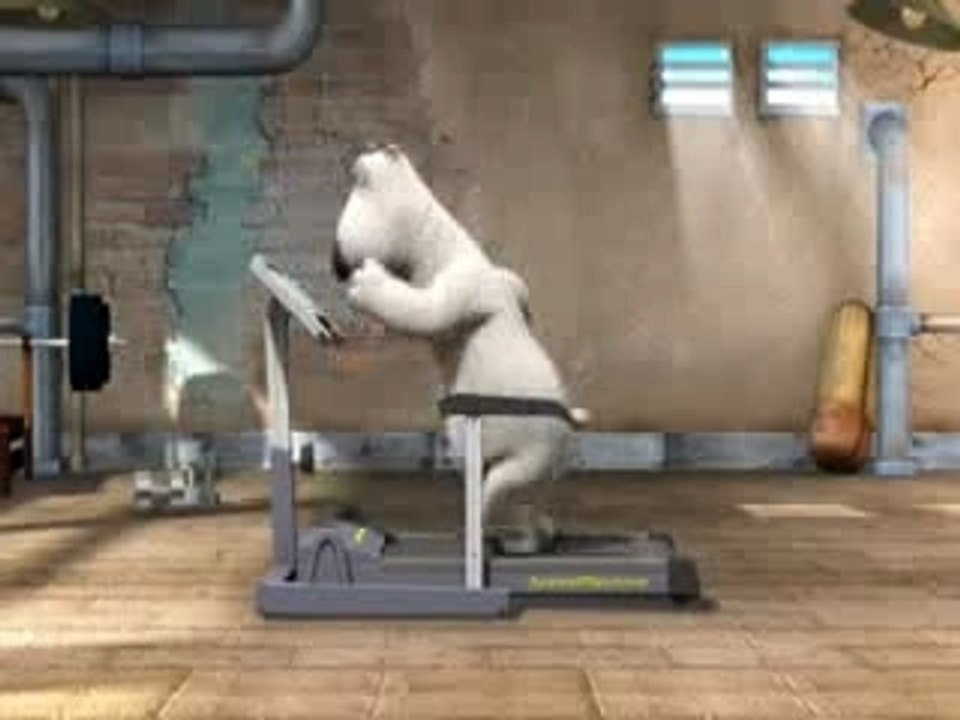 Urso Idiota 04