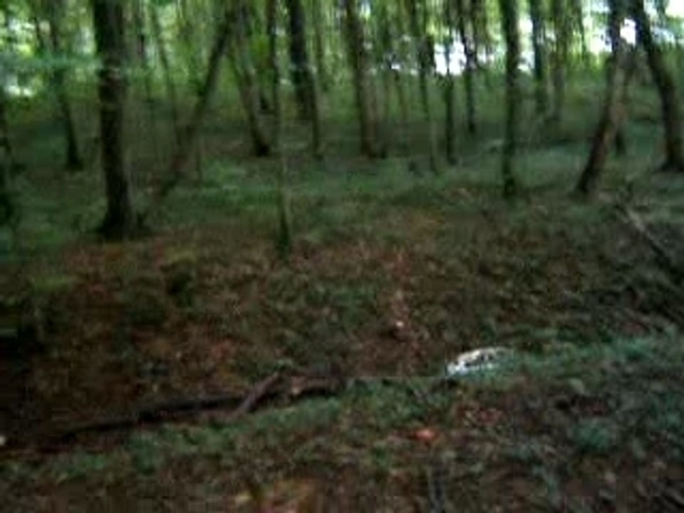 lencer de vtt