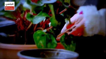 Valley.Of.The.Wolves.S07.EP40.HDTV.720.MR.ZAZA