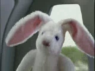 peluches de lcarro