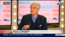 Pascal Perrineau, professeur à l'universite Sciences Po et ancien directeur du Cevipof, dans Le Grand Journal - 27/02 2/4