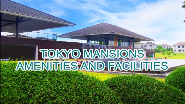 South Forbes Mansions Project Lots & House and Lots for Sale