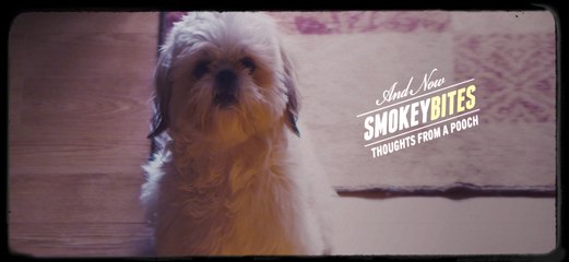 Smokey Bites: Thoughts From a Pooch