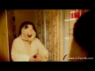 Le lapin, chanson pour les oreilles