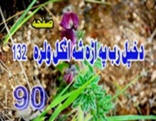 BAYAN  90 PASHTO AVAZ PEER MEER AGHA