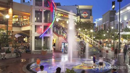 Woodvale Apartments in Silver Spring, MD - ForRent.com