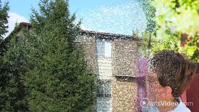 Three Pines Apartments in Toledo, OH - ForRent.com