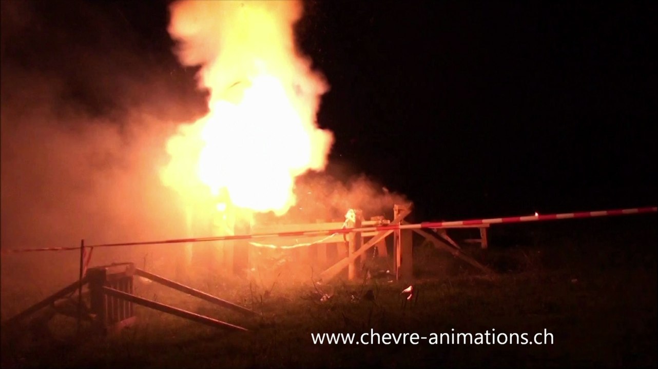 Feu d'artifice pour la fête nationale Suisse 2012