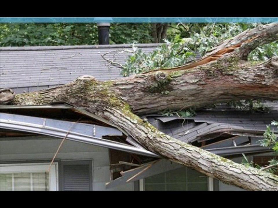 Executive Adjusting Consultants-Public Adjuster Boca Raton