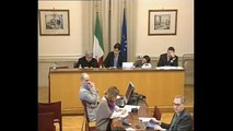 Roma - Audizioni su valorizzazione aree agricole - Ispra (27.02.14)