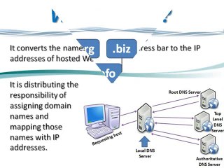 DNS Hosting