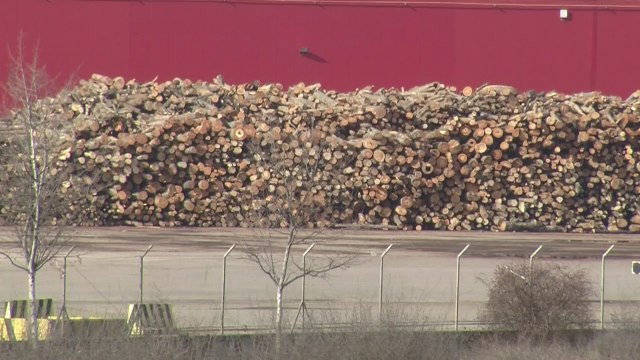 Romania hopes to curb massive deforestation