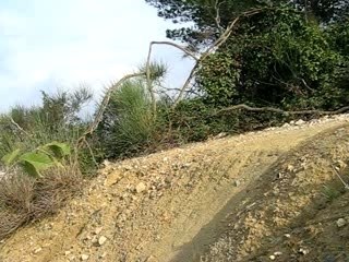session bmx 021