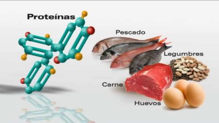 Alimentacion: Proteinas (Angel Gil)
