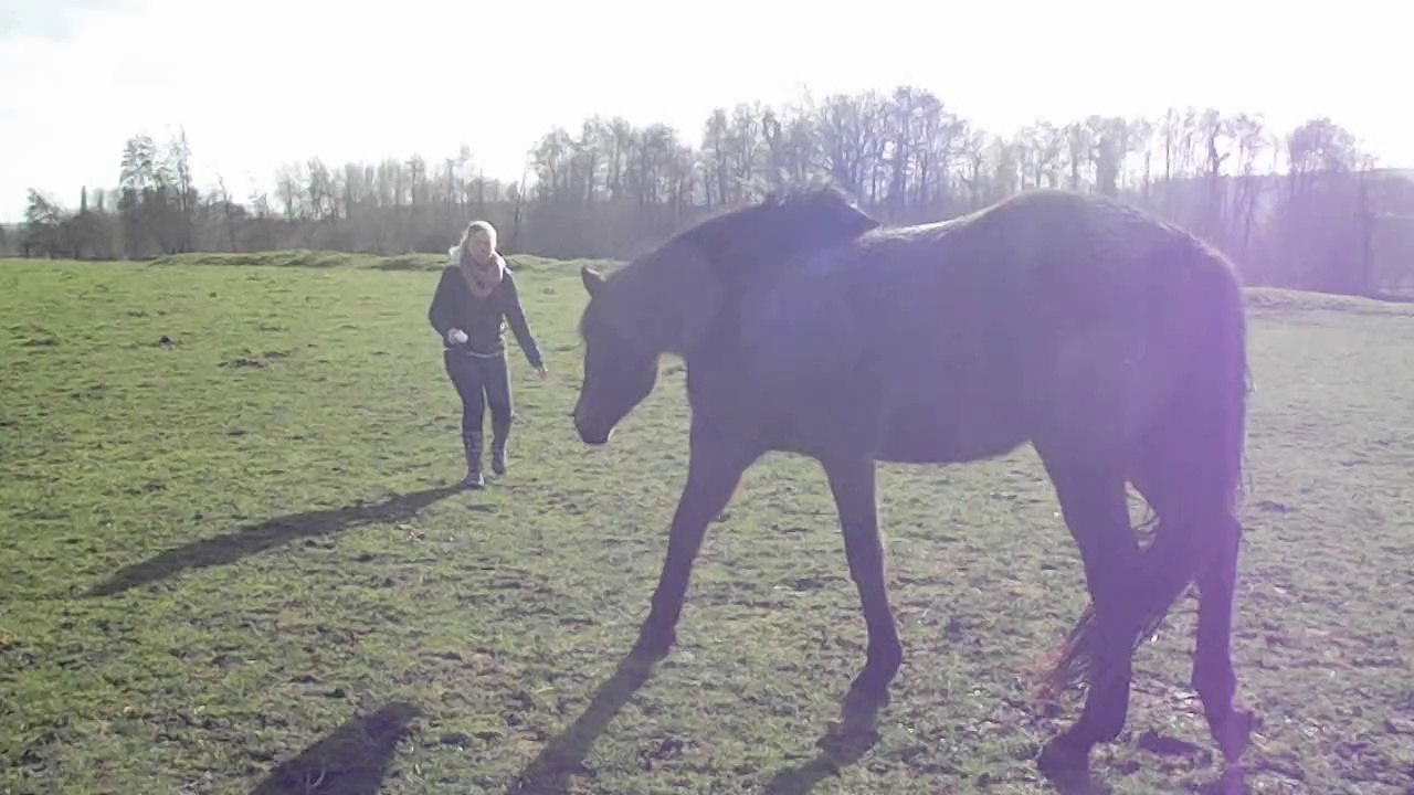 Course contre youyoune !