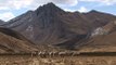 Randonnée dans la cordillère des Andes au Pérou