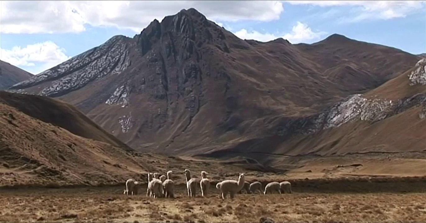 Randonnée dans la cordillère des Andes au Pérou