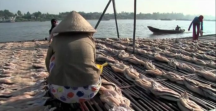 Au delta du Mékong, sud Vietnam