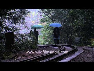 It's drizzling at Matheran!