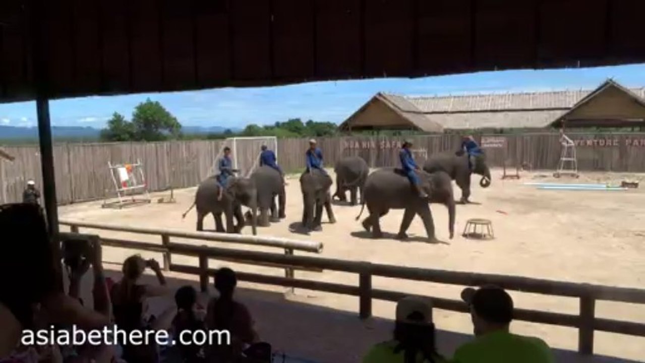 Hua Hin Safari Park Elephant Show, Part I