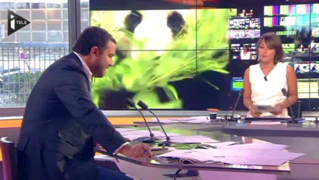 Insolite : des pandas dans la neige