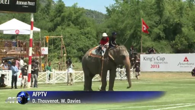 Jouer au polo en Thaïlande, oui, mais à dos d'éléphants
