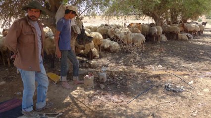 Israël-Palestine : la route des espoirs déçus