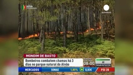 Download Video: Cinco bomberos fallecidos este mes en los incendios de...