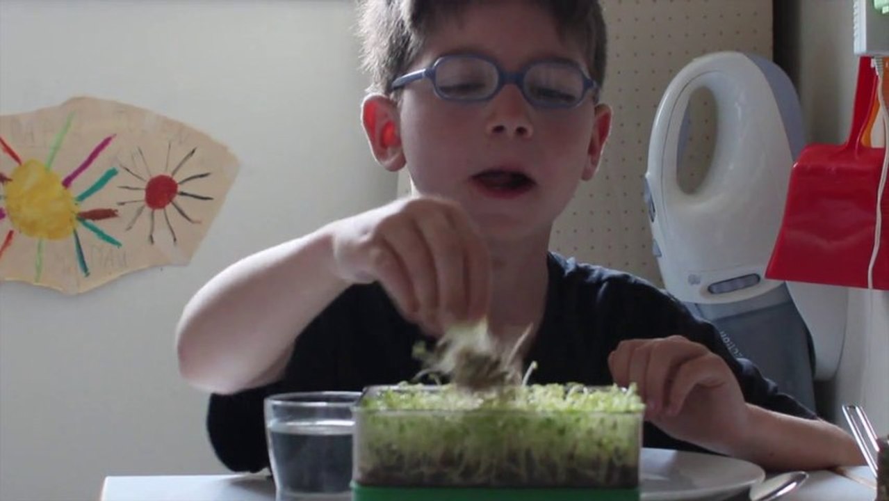 Lentilles : Maman à la maison seule, active et allaitant.