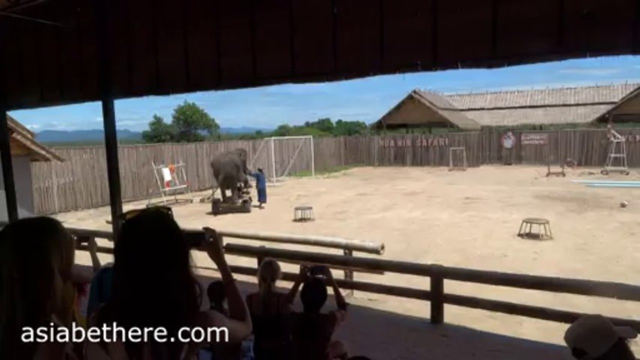 Hua Hin Safari Park Elephant Show, Part III