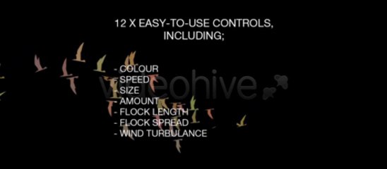 Flocking Bird Generator - After Effects Template