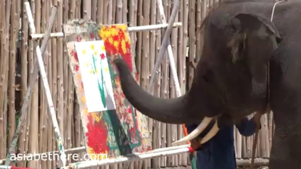 Hua Hin Safari Park Elephant Show, Part IV