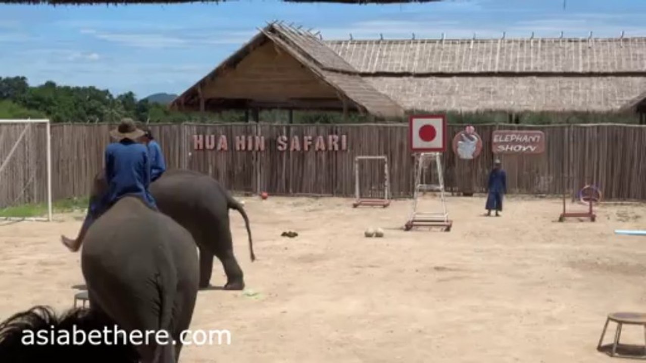 Hua Hin Safari Park Elephant Show, Part VI