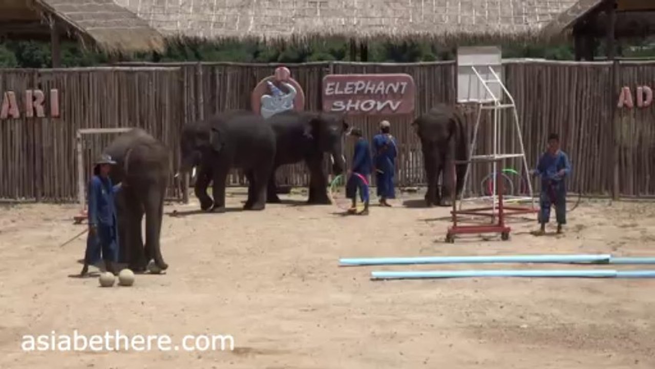 Hua Hin Safari Park Elephant Show, Part VII