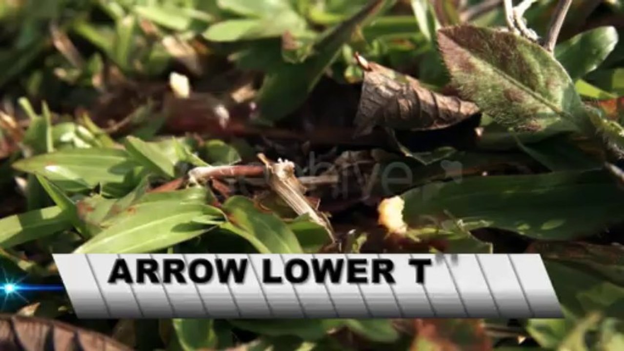 Arrow Lower Third - After Effects Template
