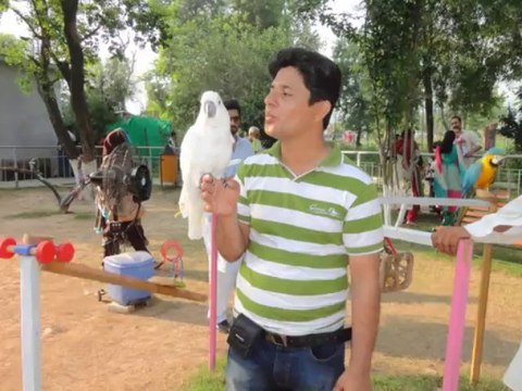 Naran-Kaghan-Murree-Islamabad Trip