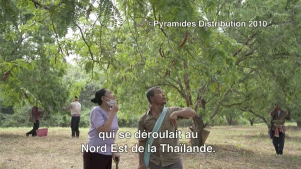 Interview d’Apichatpong Weerasethakul, Palme d’or au Festival de Cannes 2010